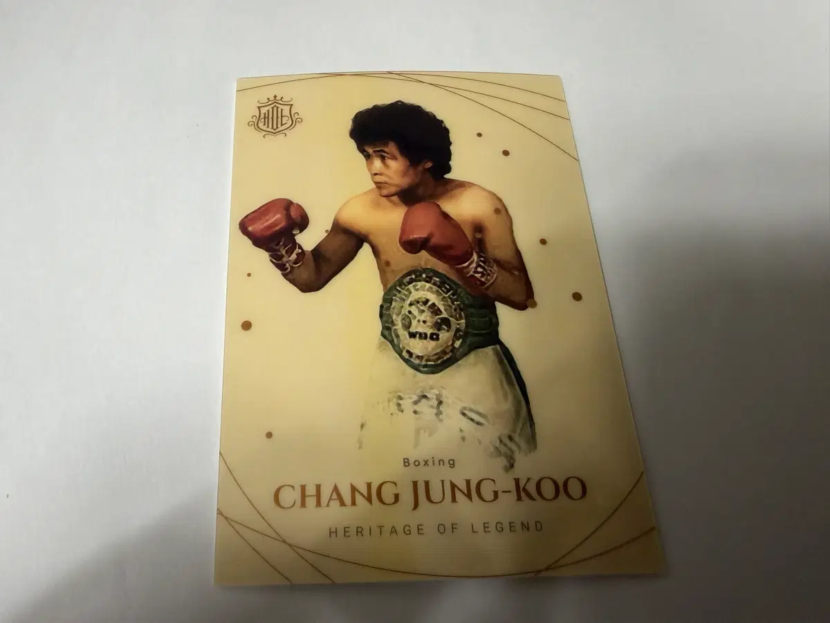 (대) 2022 헤리티지 오브 레전드 베이스 복싱 장정구