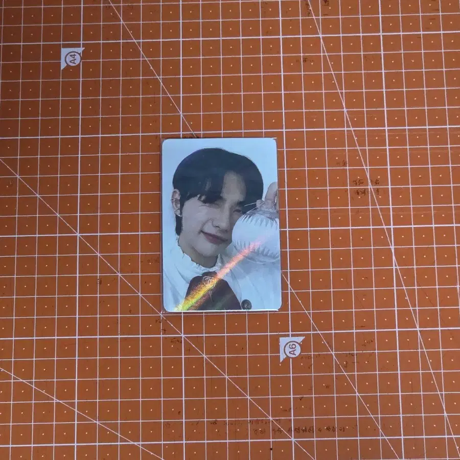 크이블 현진 알라딘 미공포