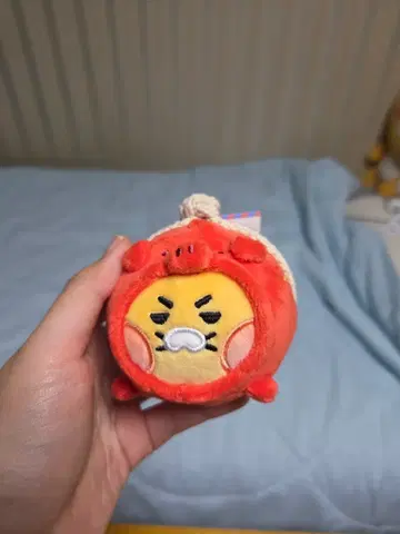 카카오프렌즈 후렌즈 문방구 라이언 인형키링