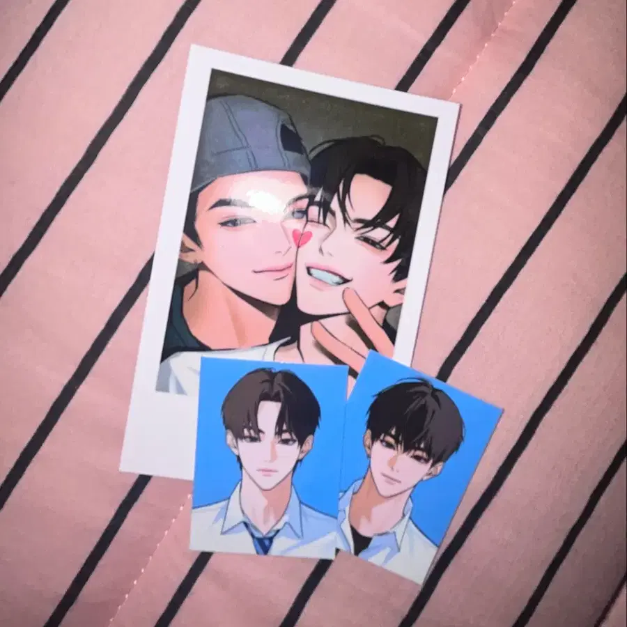 ummu님 안앤엄 폴라, 증사