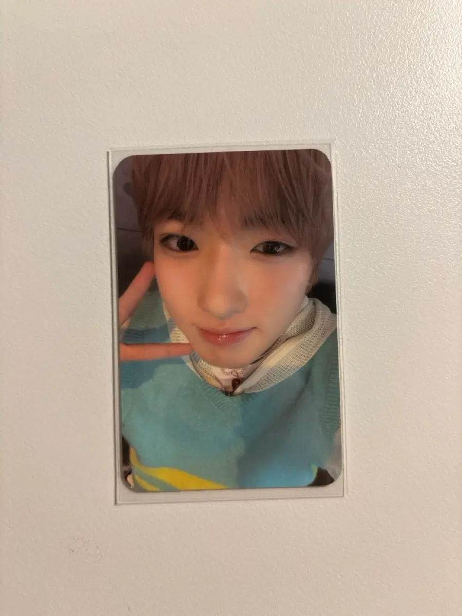 앤시티위시 사쿠야 color 컬러 예스24 yes24 팬싸 특전 미공포