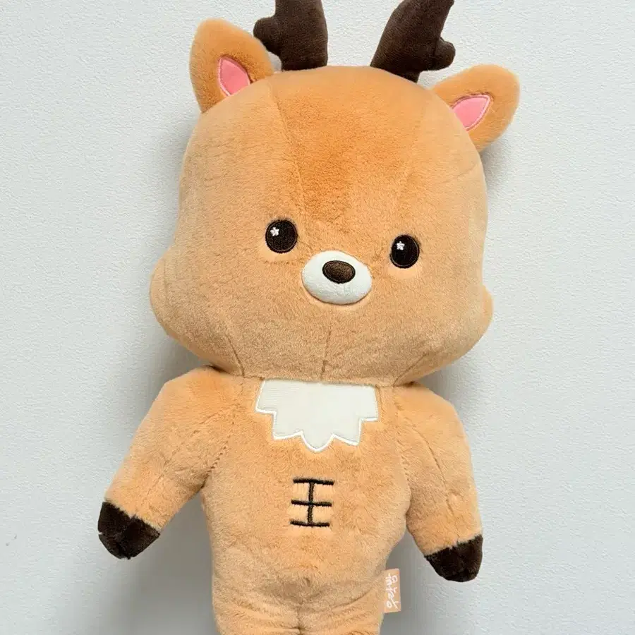 Shop 우락밤40cm on Bunjang Global Site - No more Korean account!