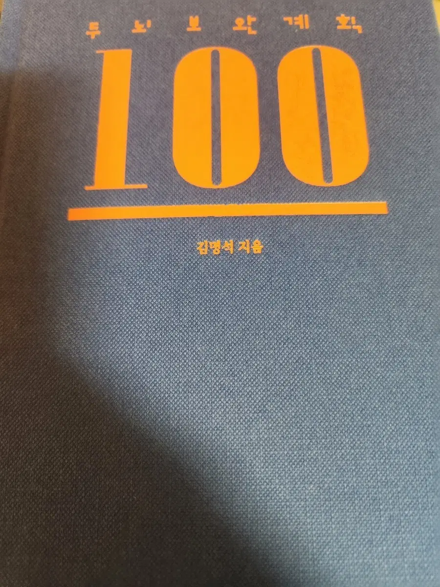 두뇌보완계획100