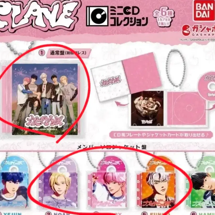 플레이브 카쿠렌보 미니 CD 가챠 일괄