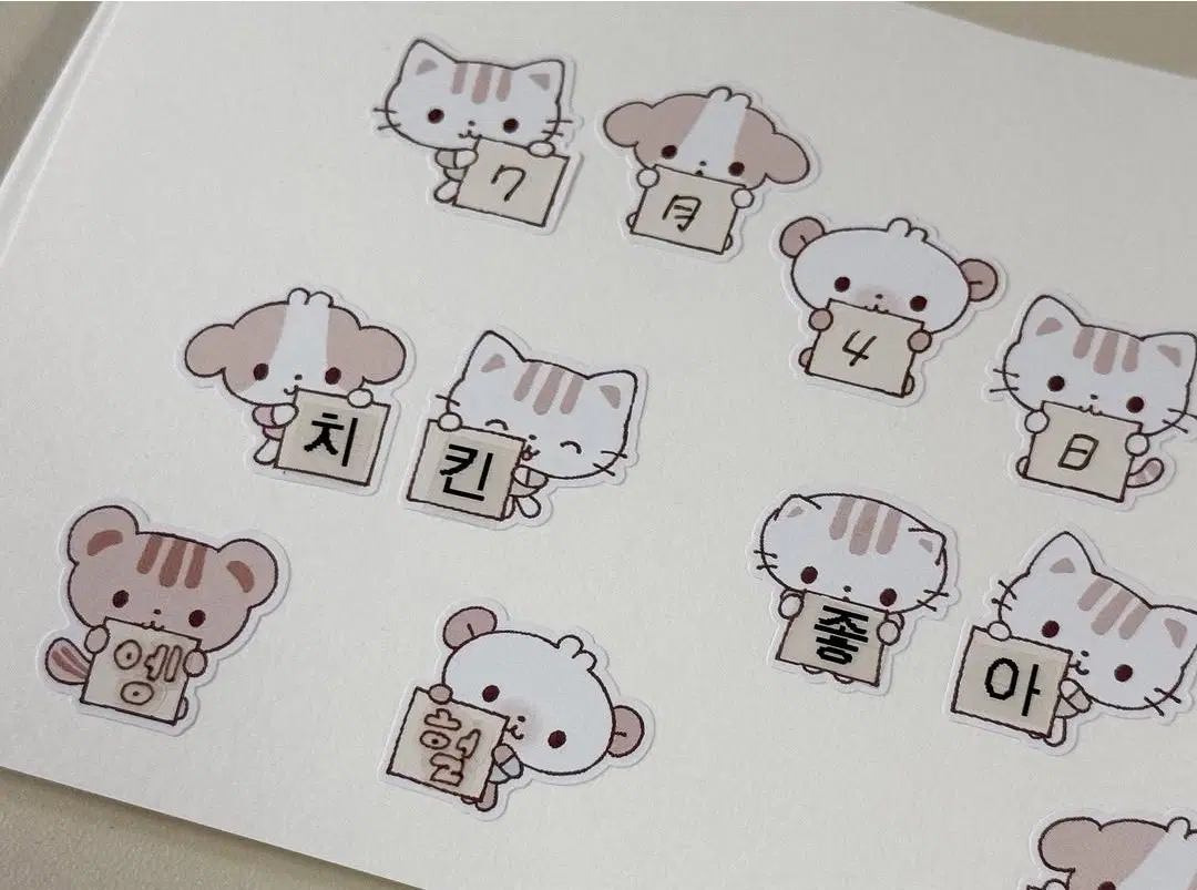 베베 키스컷 3종