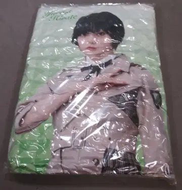 케야키자카46 Loppi HMV 한정판 2019 히라테 유리나 빅 쿠션