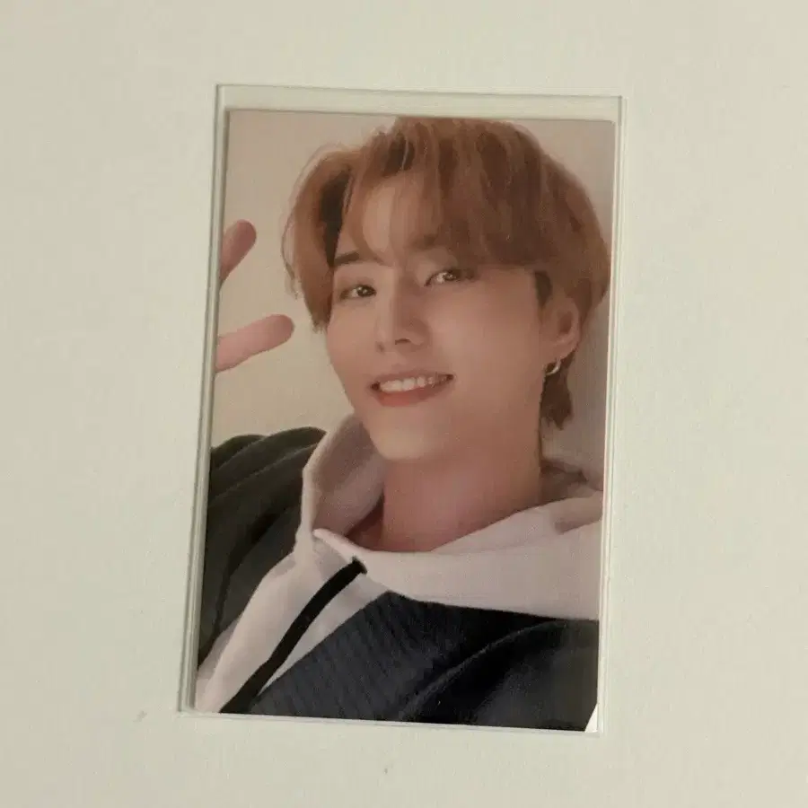 영케이 19선물콘 트레카 포카