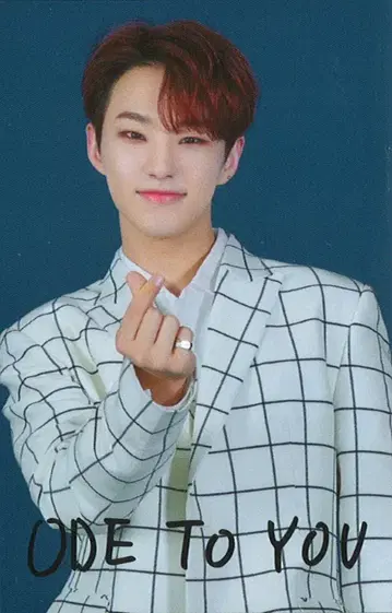 SEVENTEEN 2019 ODE to You IN SEOUL HOSHI 트레이딩 카드 0070