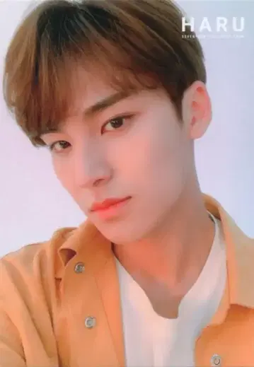 SEVENTEEN 2019 HARU MINGYU 트레이딩 카드 0071