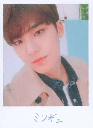 SEVENTEEN 2019 HARU MINGYU 트레이딩 카드 0123