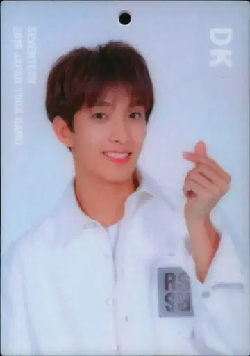 SEVENTEEN 2019 HARU DK 트레이딩 카드 0098