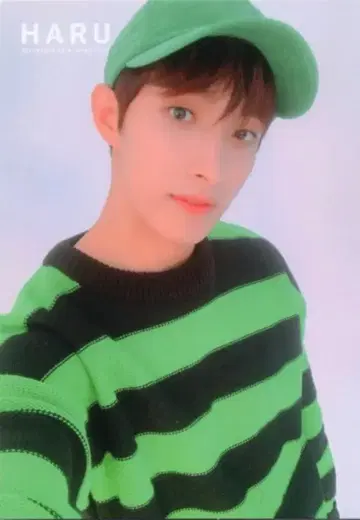SEVENTEEN 2019 HARU DK 트레이딩 카드 0072