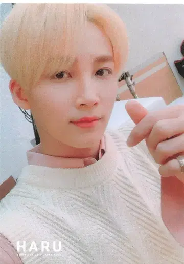 SEVENTEEN 2019 HARU 정한 트레이딩 카드 0036