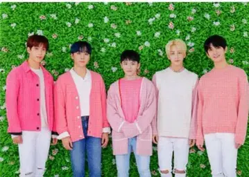 SEVENTEEN 2019 HARU VOCAL 트레이딩 카드 0003