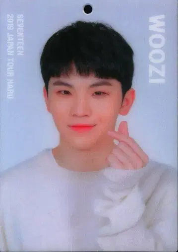 SEVENTEEN 2019 HARU WOOZI 트레이딩 카드 0095