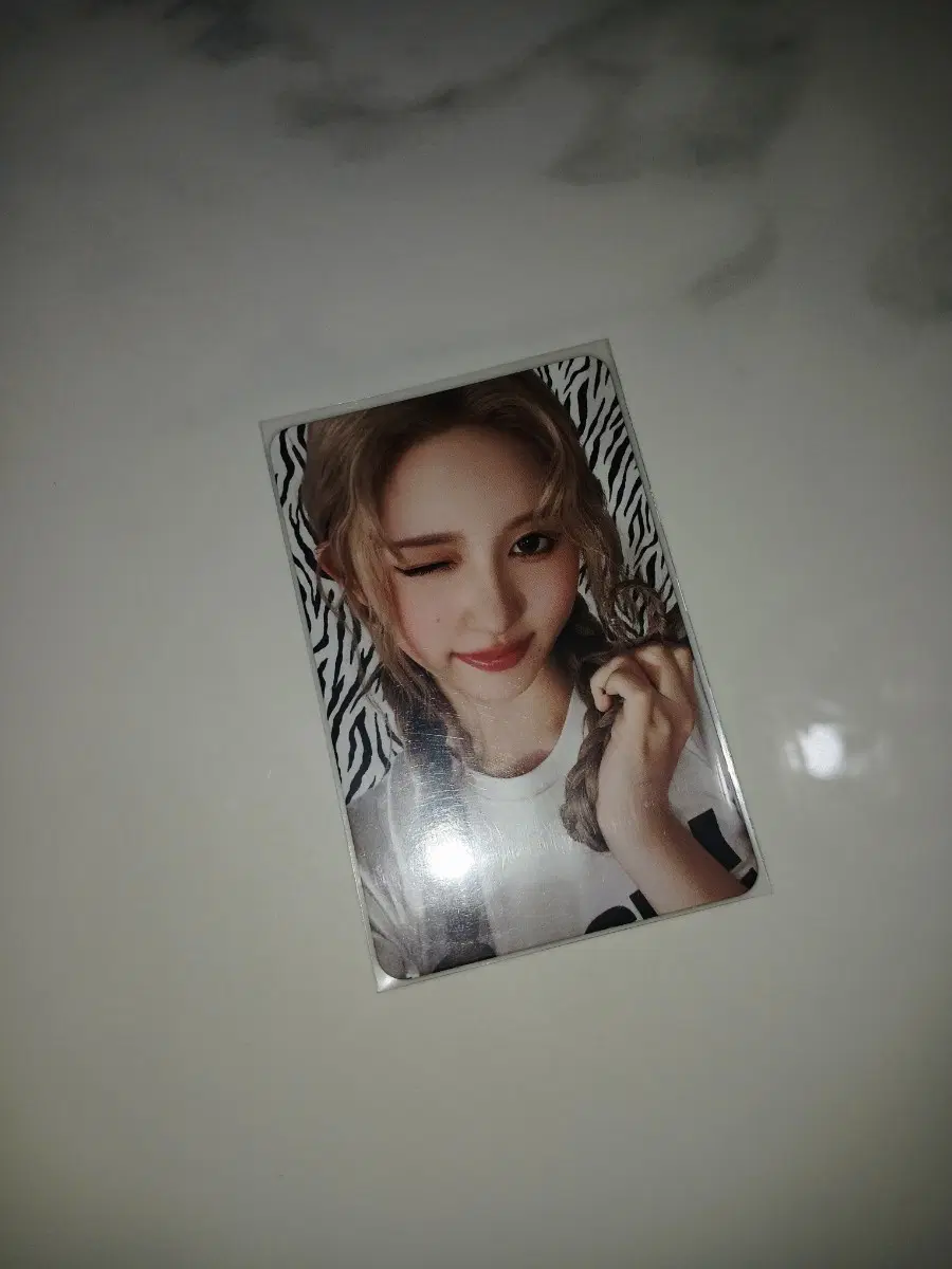시크릿 디지백 가을