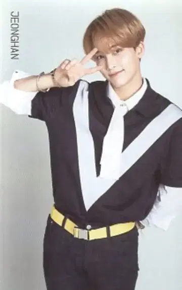 SEVENTEEN 2018 IDEAL CUT IN SEOUL 정한 트레이딩 카드 0002