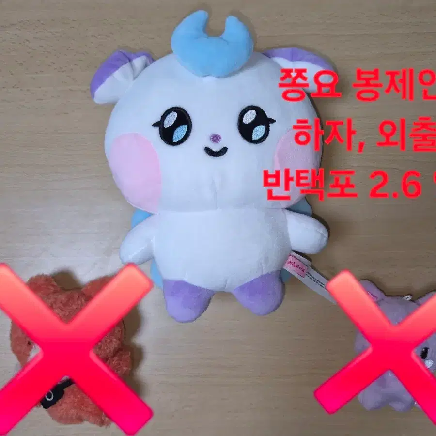 마이티즈 쫑요 양도
