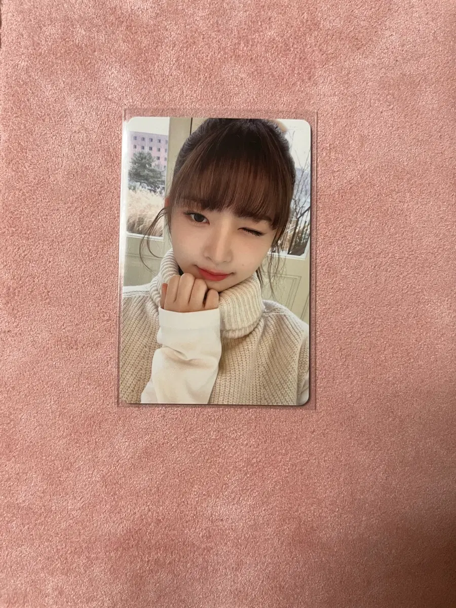 아이브 다이브키트 2기 레이포카