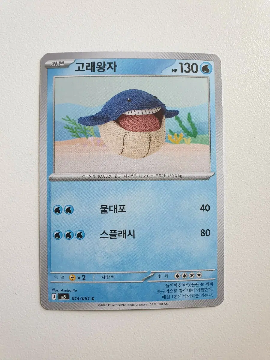 고래왕자 포켓몬카드