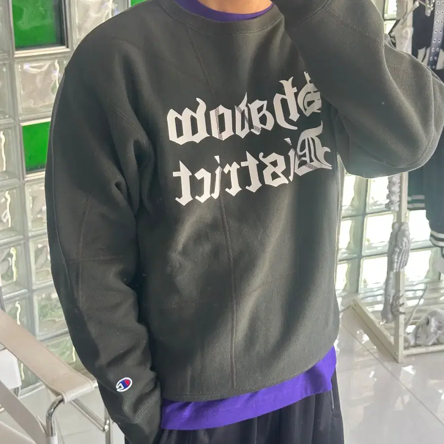 CHAMPION 챔피온 stitch print tee
