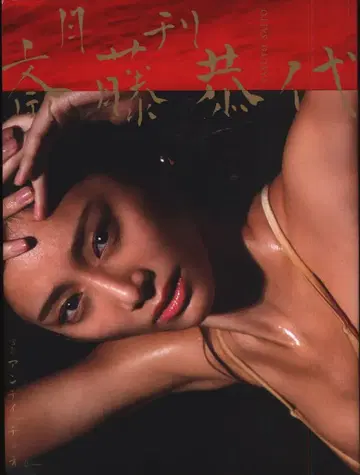 월간 사이토 야스요