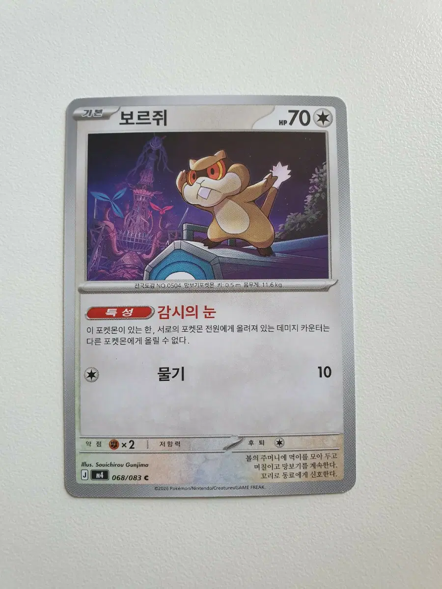 보르쥐 포켓몬카드