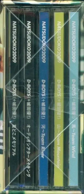 D-BOYS 여름 어디 2009 산~Team Mountain 버전 (DVD 포함)