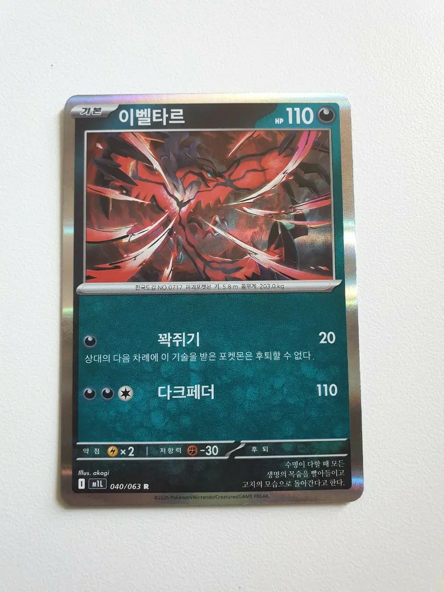 이벨타르 포켓몬카드