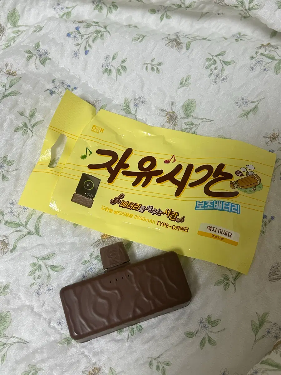 자유시간 보조배터리