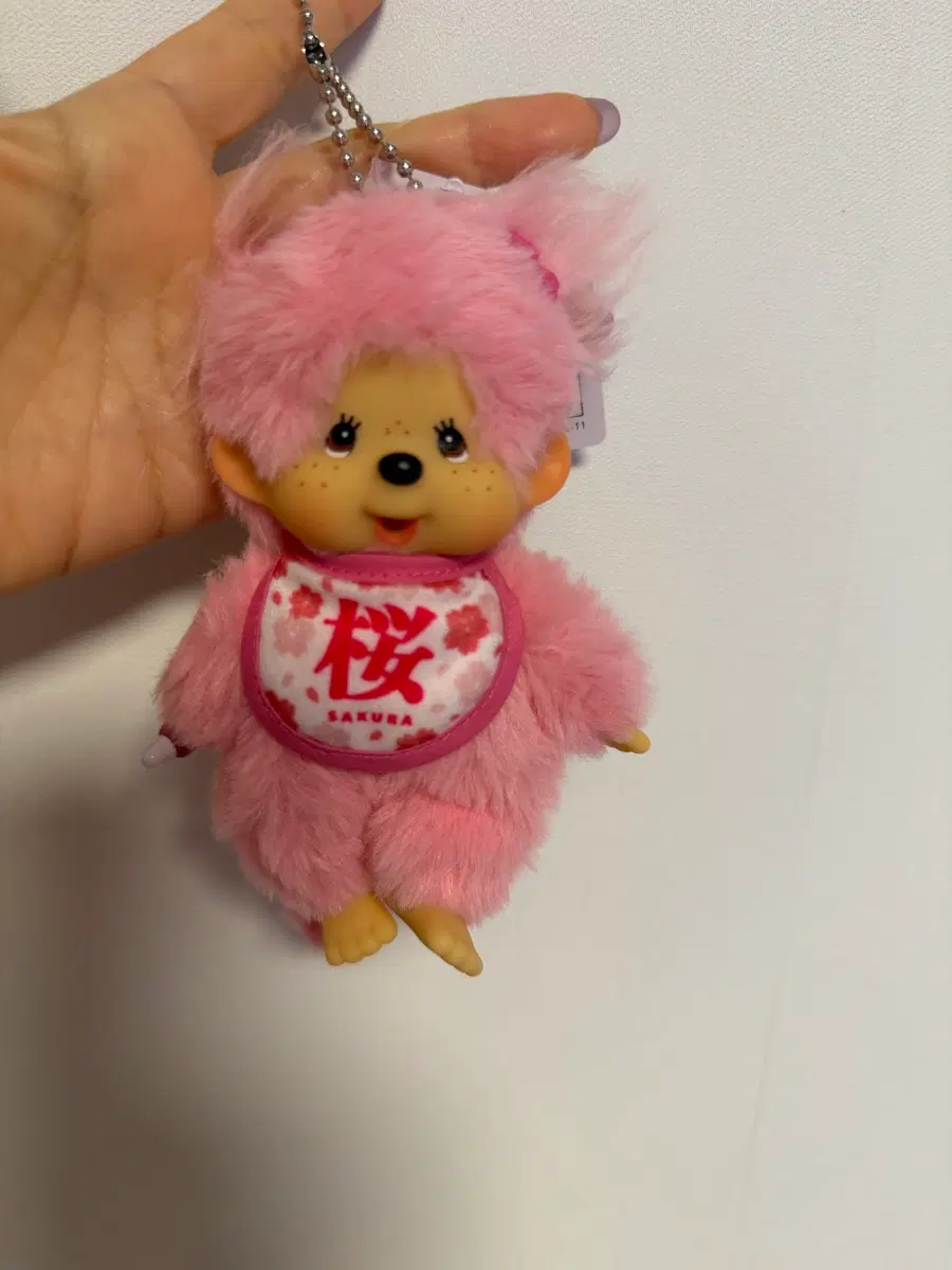 몬치치핑크 사쿠라