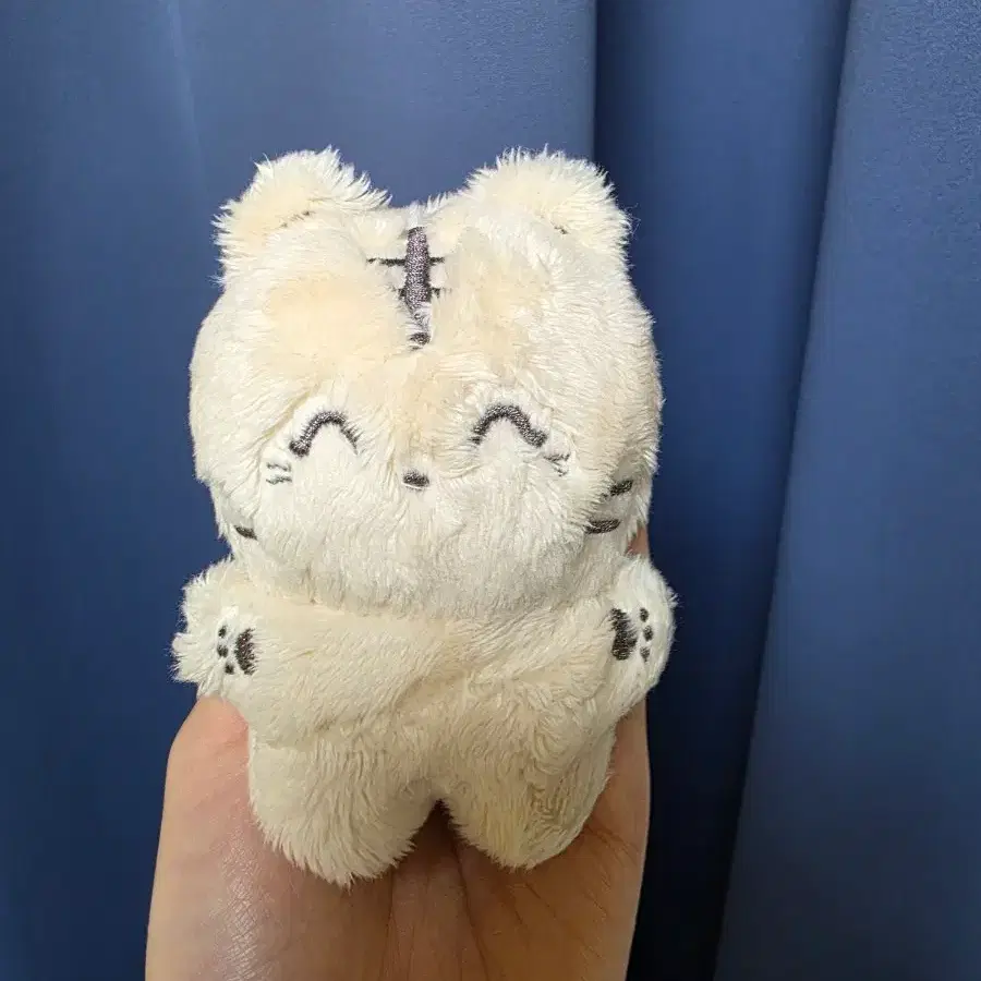 (급처)범식이 비비현식