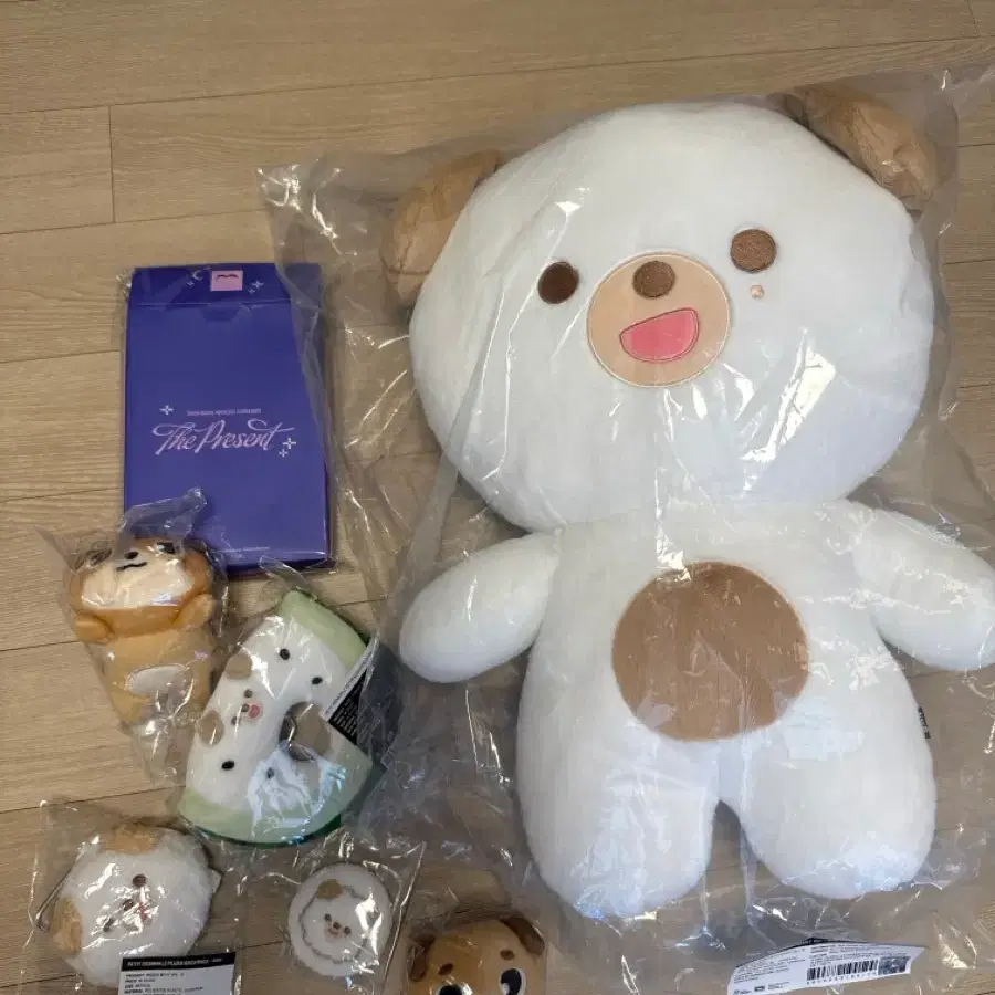데이식스 도운 세트 정가 이하 자쁘멀 라잉돈 백팩 뱃지 스트레스볼