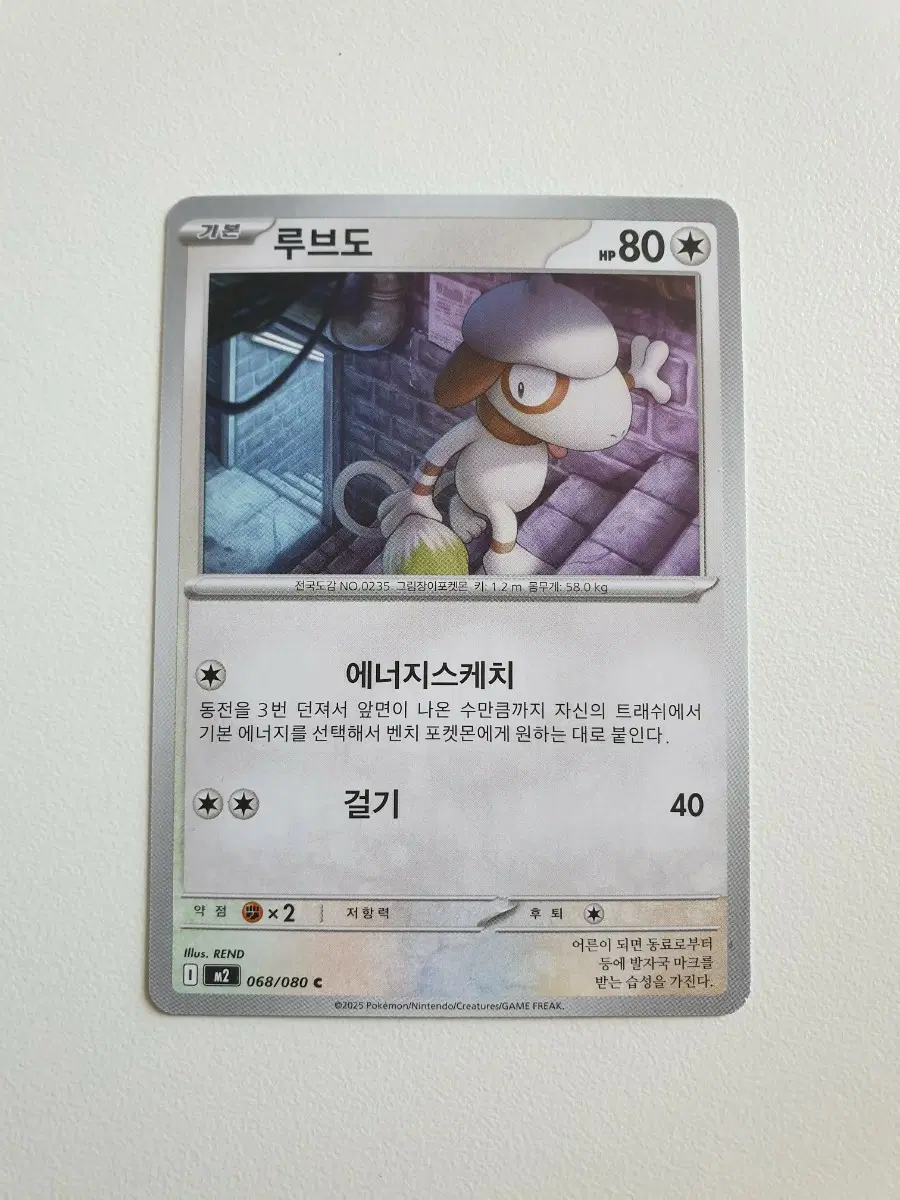 루브도 포켓몬카드