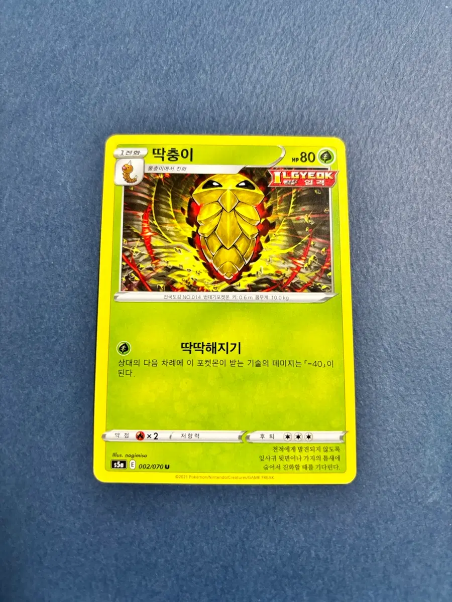 고전) 포켓몬카드 딱충이 일반카드 도감용 덱소스 s5a 002/080
