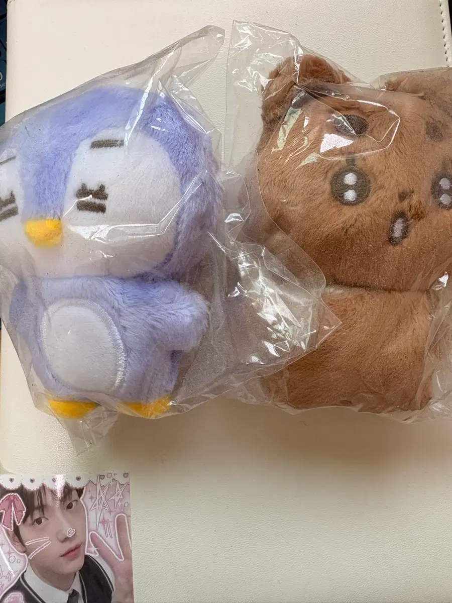 미개봉뽀송밤말랑닝뽀바투판매투바투인형