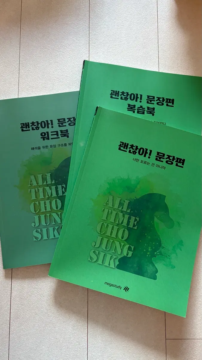 메가스터디 조정식 괜찮아 문장편