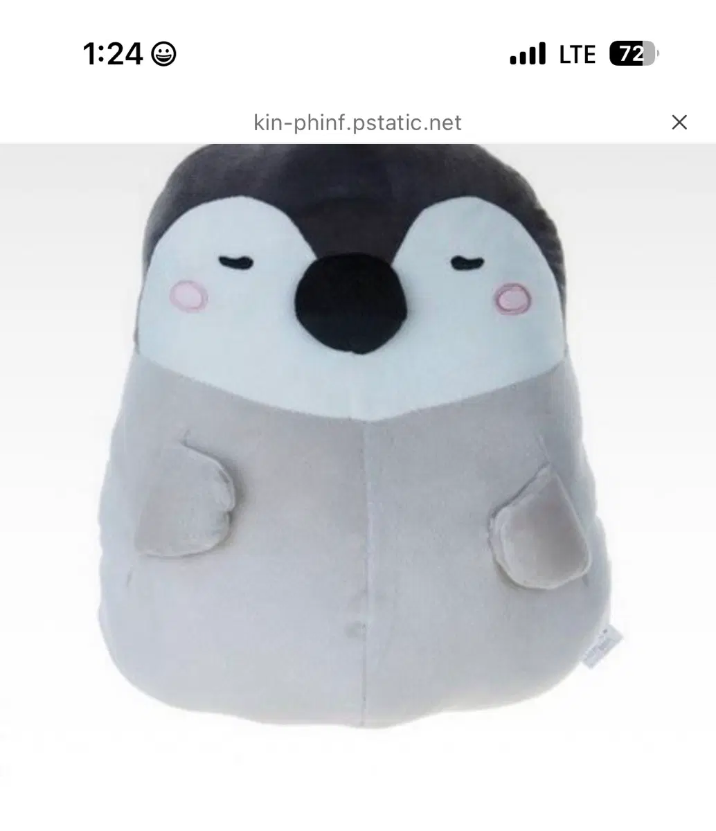이강인펭귄 버터 펭귄인형 구합니다