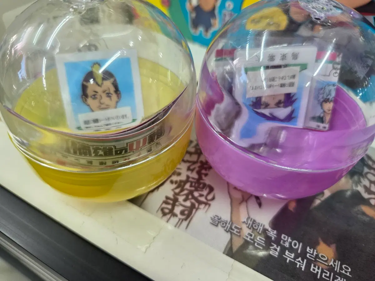 사이키쿠스오 증명사진 토리츠카 넨도 일괄