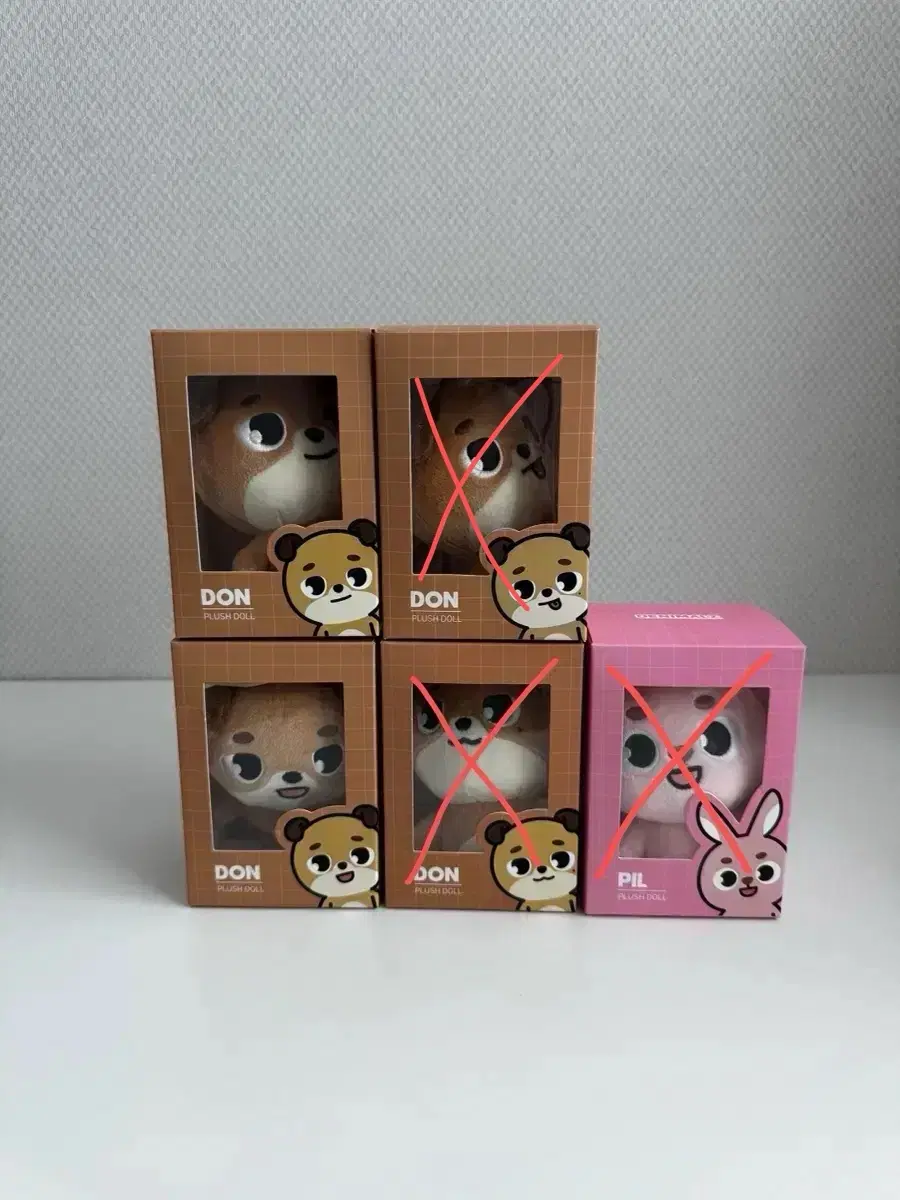 데이식스 데니멀즈 돈