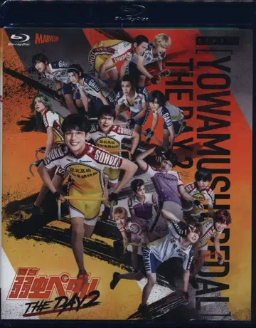 무대 Blu-ray 미개봉 무대 약한 영웅 페달 THE DAY 2 2