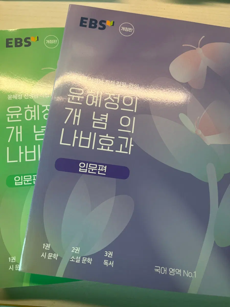 윤혜정 개념의 나비효과 입문편 워크북 포함(새책)