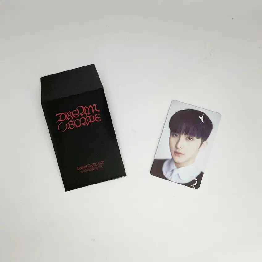 엔시티 드림 마크 드림 스케이프 트레이딩카드 포토카드 C버전 1 NCT DREAM MARK DREAM( )SCAPE TRADINGCARD PHOTOCARD C_1