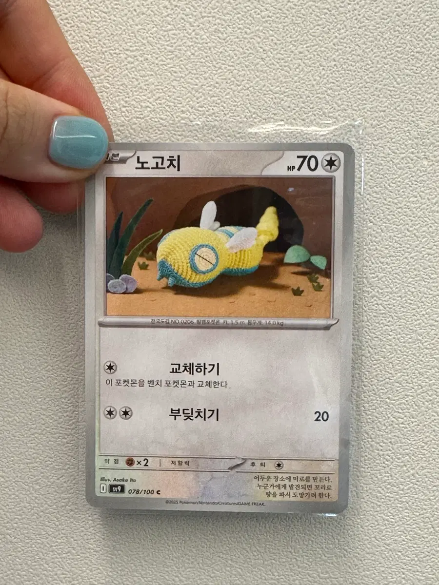 포켓몬 카드 노고치
