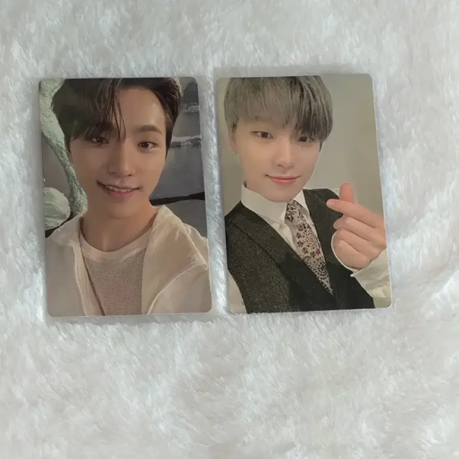 세븐틴 디노 포토카드 일괄