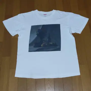 GRAPEVINE 새로운 과일 T셔츠 L사이즈
