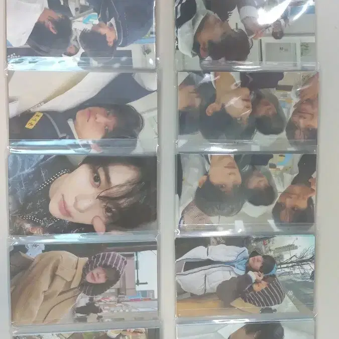 엔시티 위시 처분 / 양도