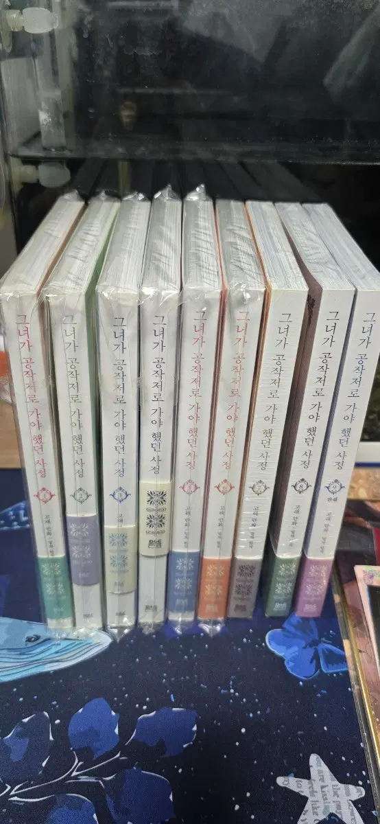 그녀가 공작저로 가야 했던 사정 전권