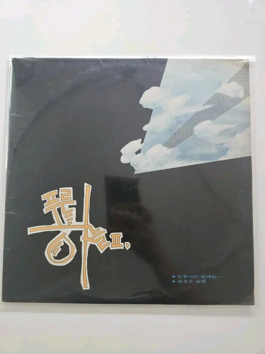 푸른하늘 2집 LP/ 가사집 있음 / EX+ (연한 백화 있음)
