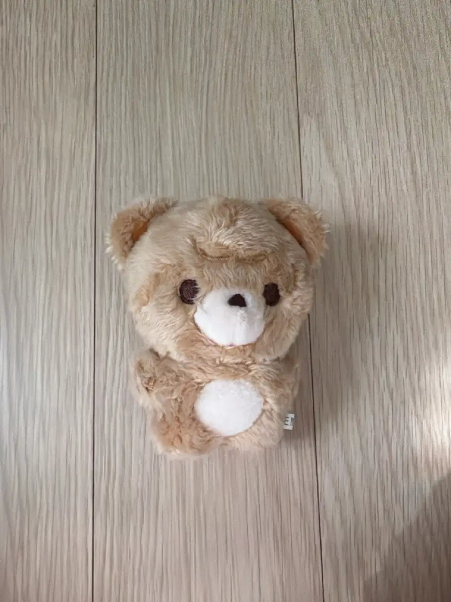 엔시티 해찬 인형 쨘곰이